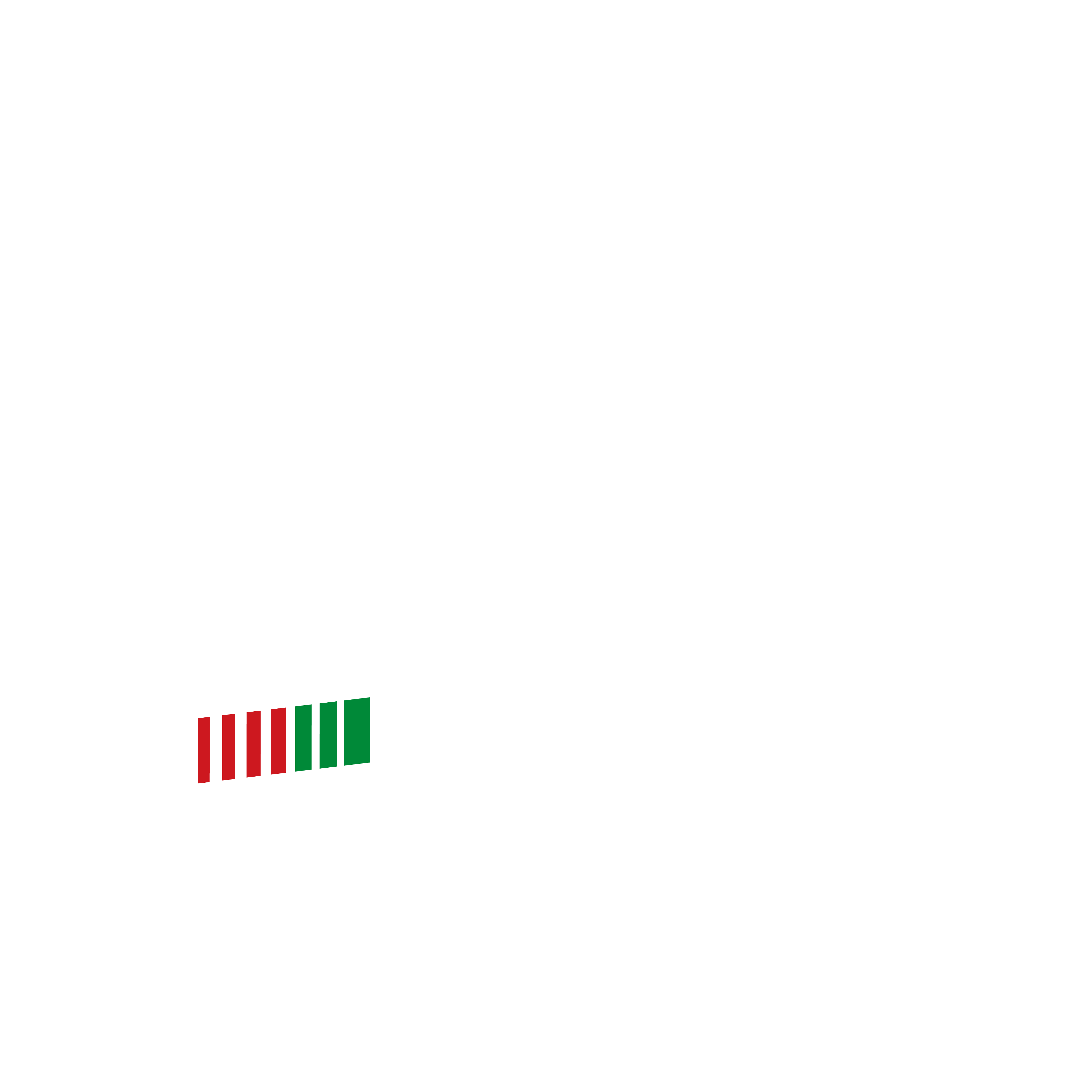 RG Partes